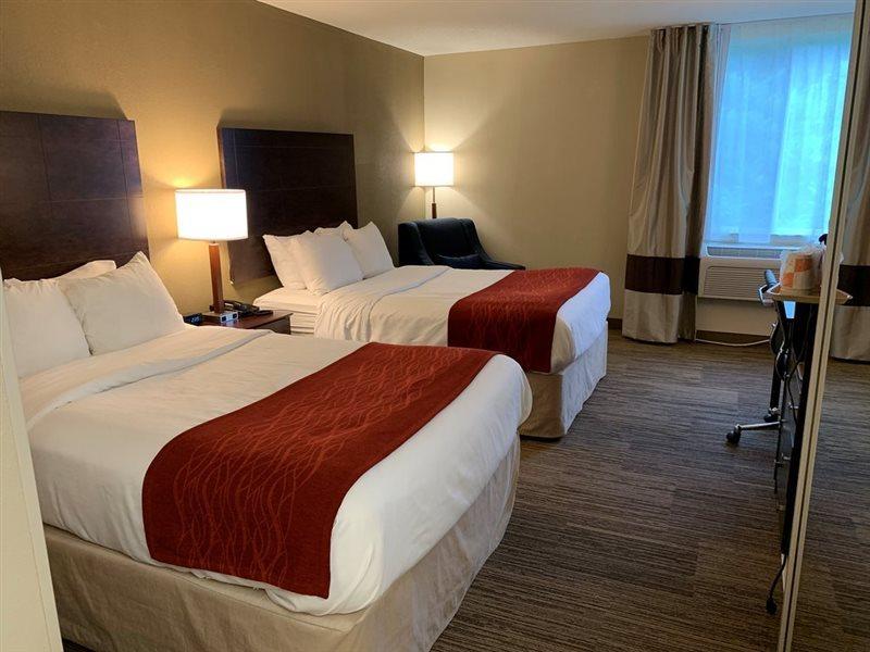 Comfort Inn & Suites East Hartford - Hartford Eksteriør bilde