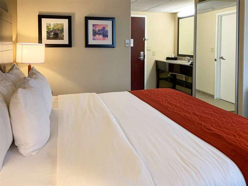 Comfort Inn & Suites East Hartford - Hartford Eksteriør bilde