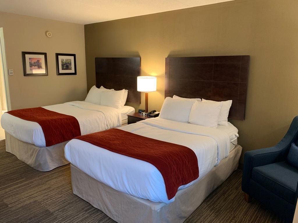 Comfort Inn & Suites East Hartford - Hartford Eksteriør bilde