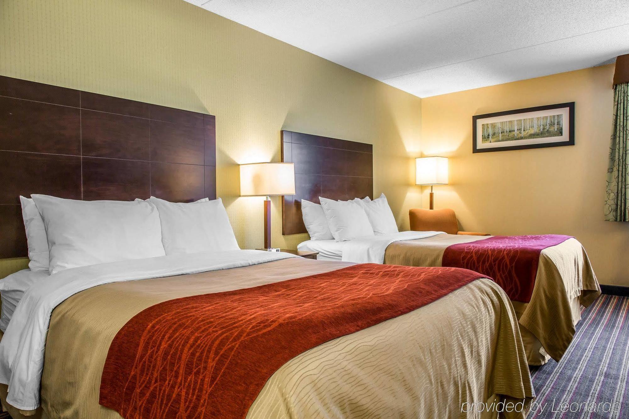 Comfort Inn & Suites East Hartford - Hartford Eksteriør bilde